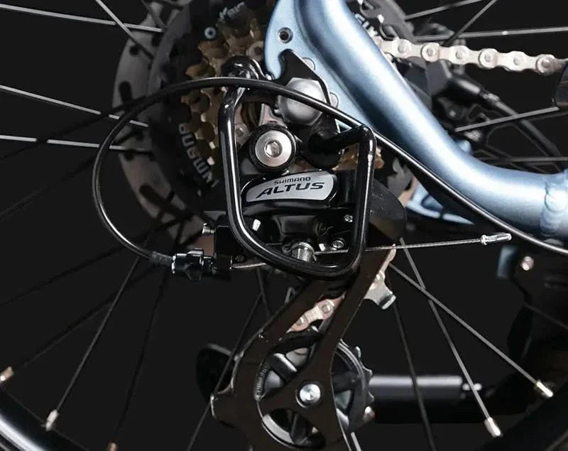 JOBOBIKE ACE Bicicletta Elettrica - ottobest.it